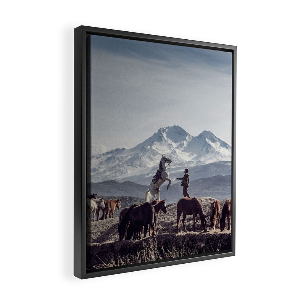 Wild Horses Framed Canvas Print Gallery Image 2