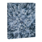 Winter Pine Forest Canvas Print Gallery Image 6