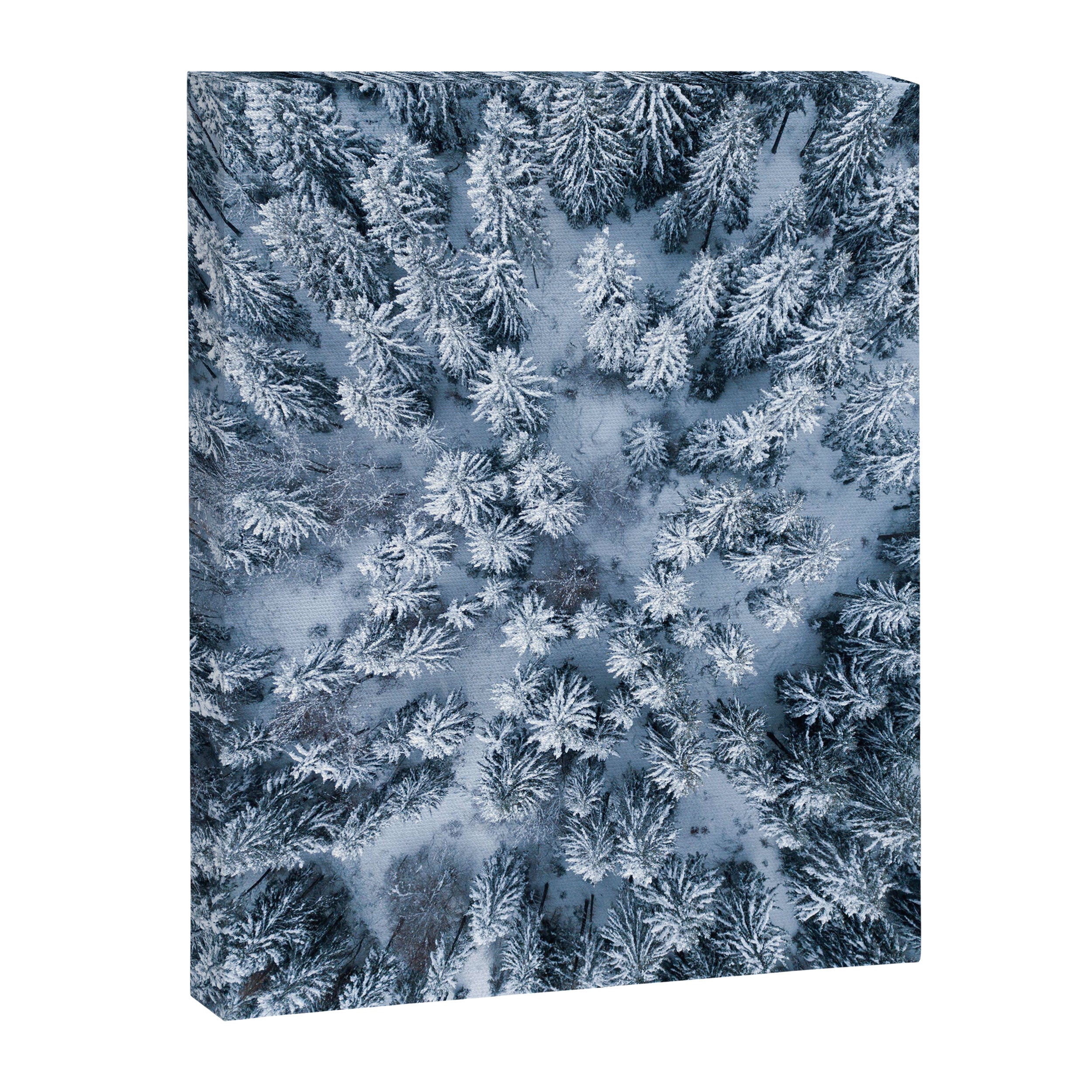 Winter Pine Forest Canvas Print Gallery Image 6