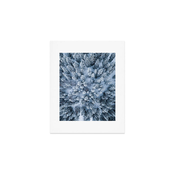 Winter Pine Forest Art Print Gallery Image 1