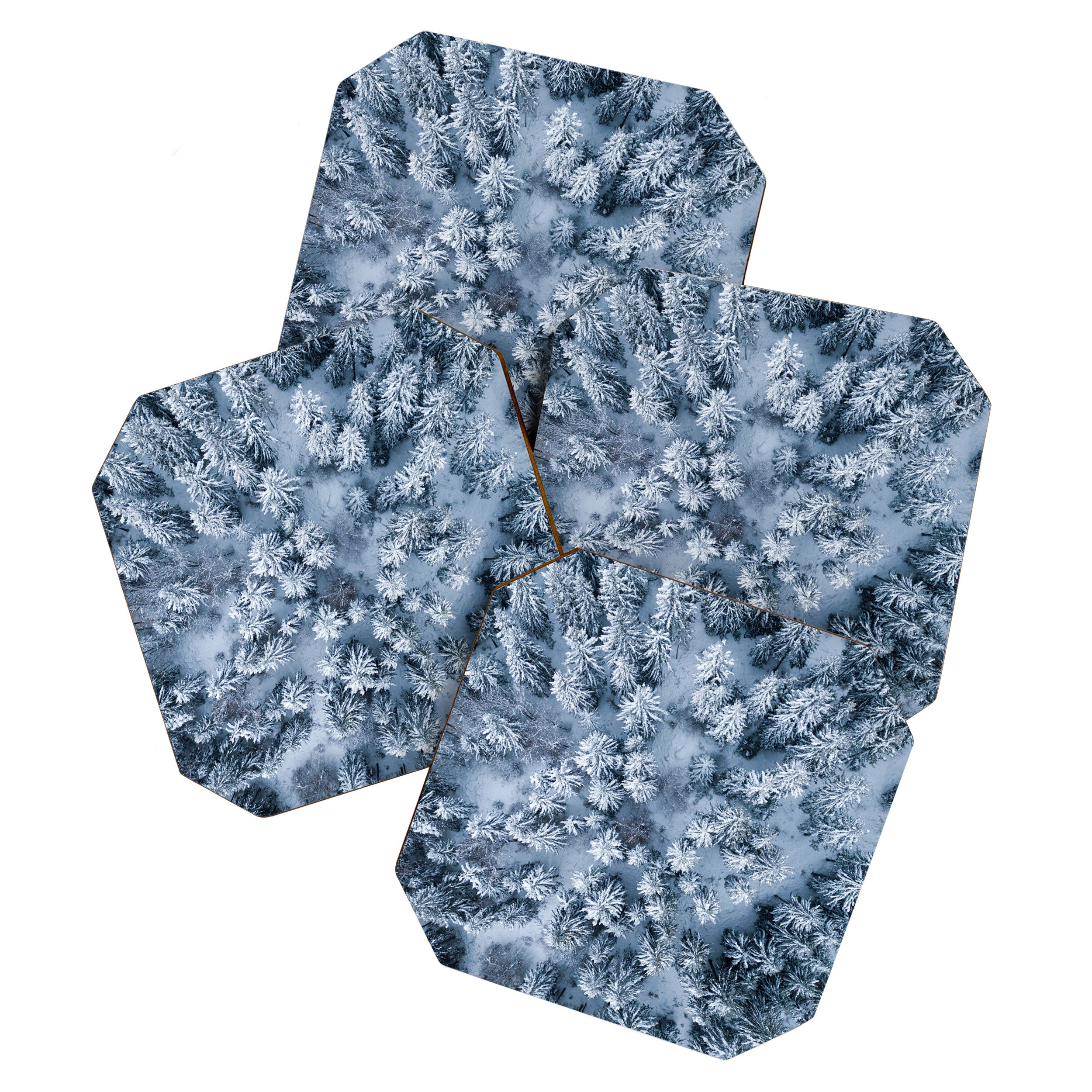 Winter Pine Forest Coaster Gallery Image 1