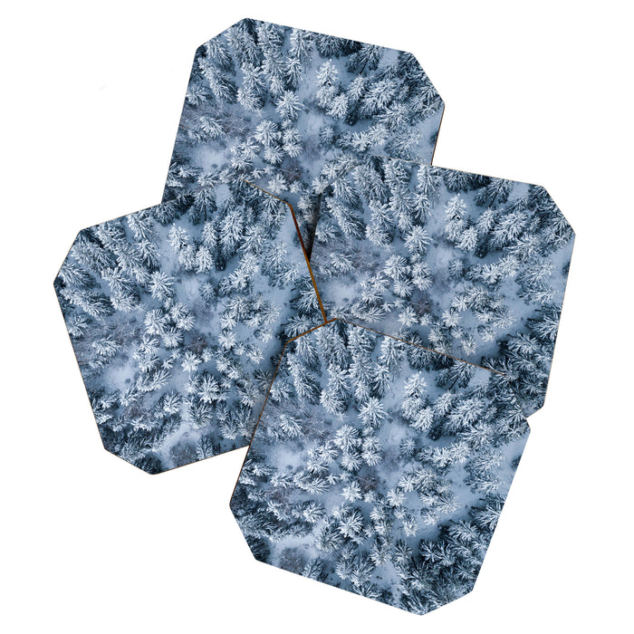 Winter Pine Forest Coaster Gallery Image 1