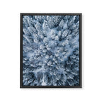 Winter Pine Forest Framed Canvas Print Gallery Image 6