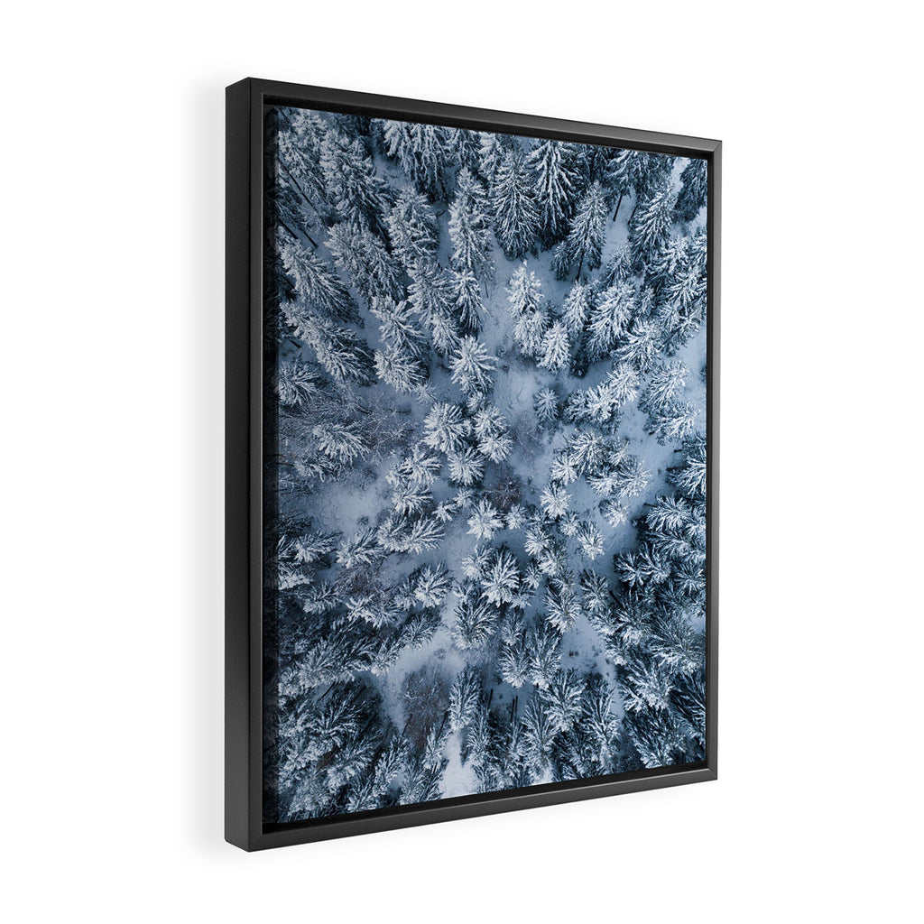 Winter Pine Forest Framed Canvas Print Gallery Image 2