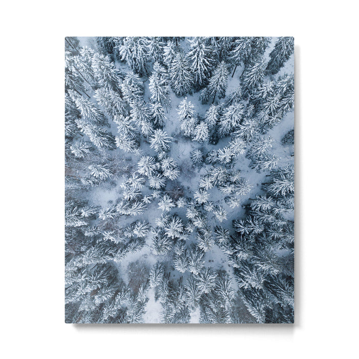 Winter Pine Forest Metal Print Gallery Image 1