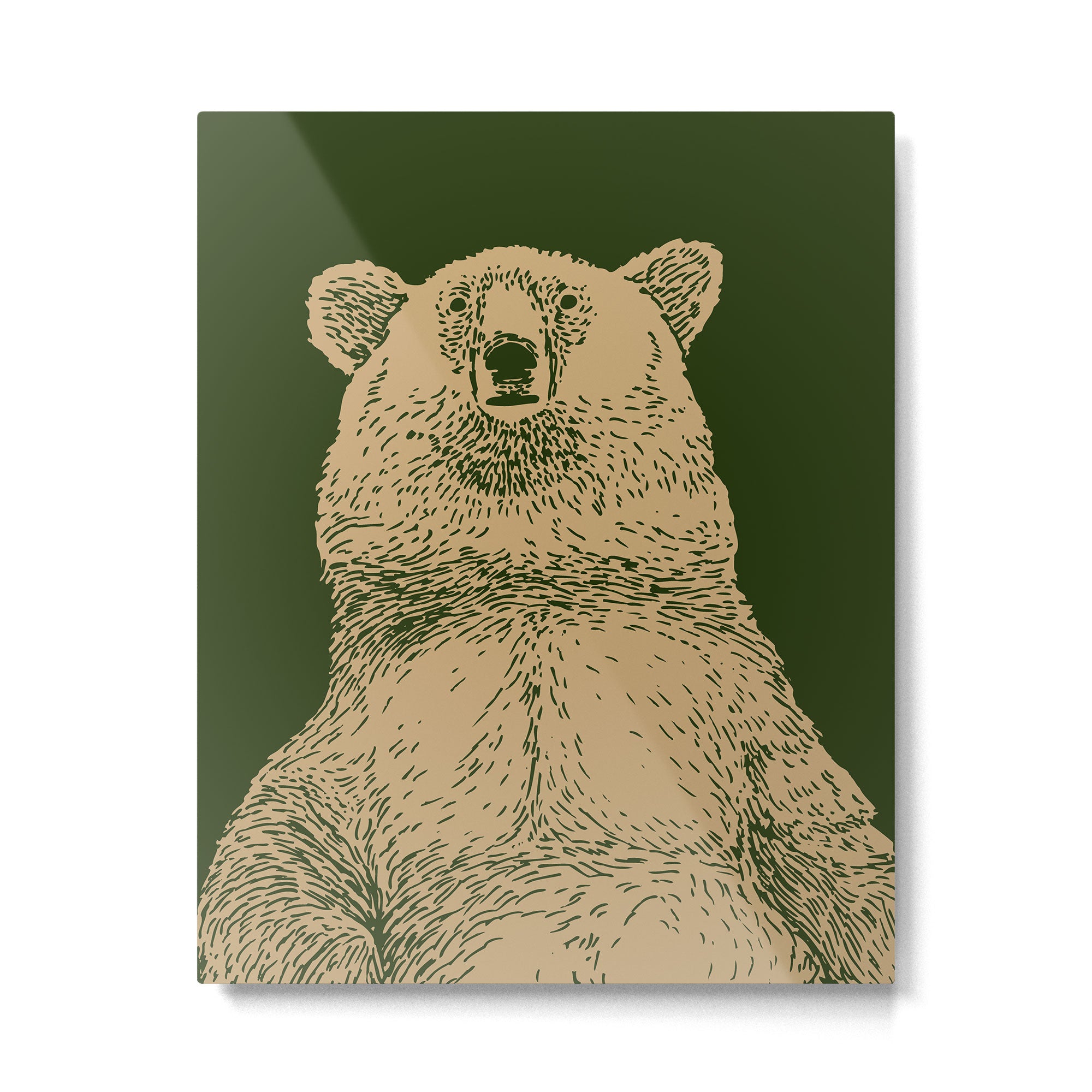 Kodiak Bear Metal Print Gallery Image 6