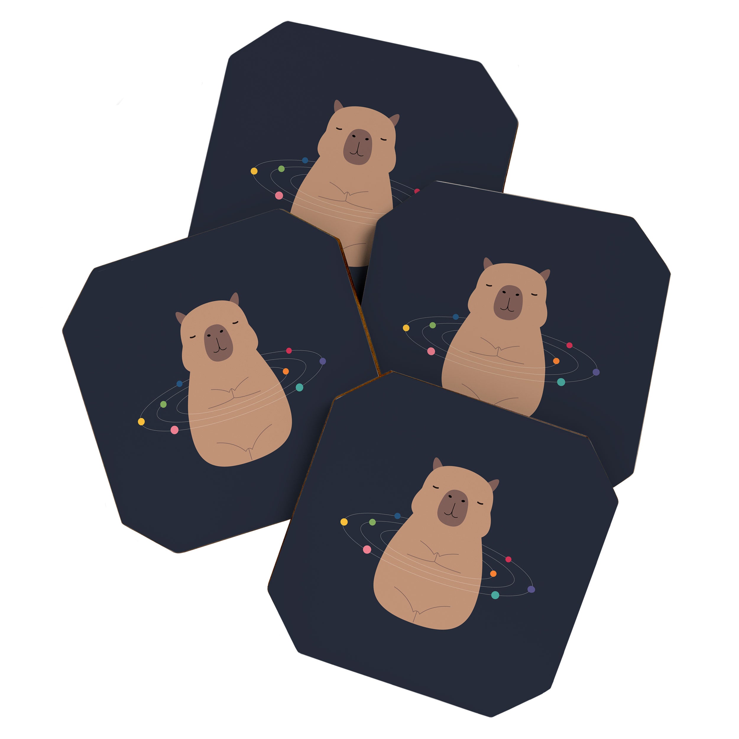Capybara Universe Coaster Gallery Image 1