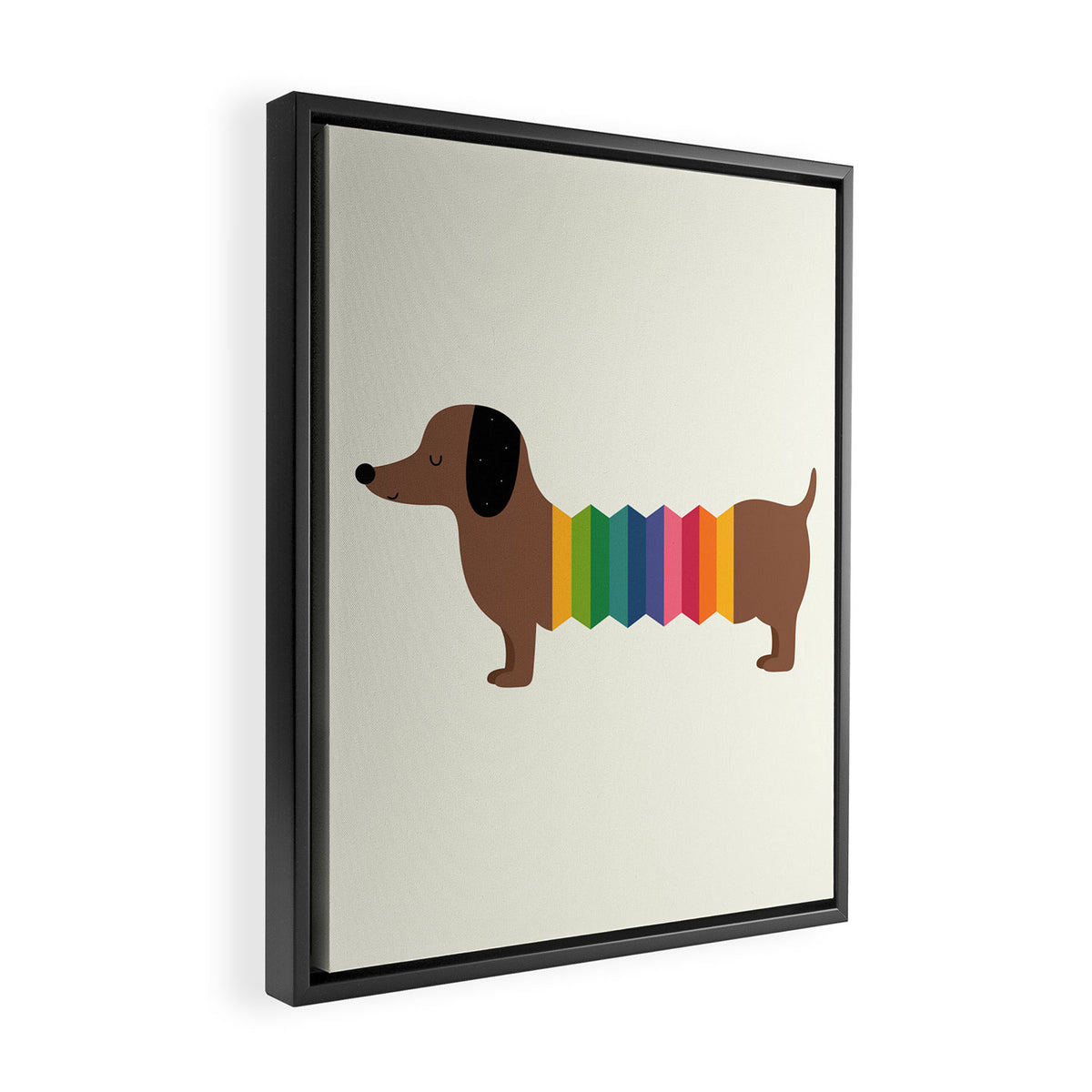 Rainbow Dooooog Framed Canvas Print Gallery Image 2