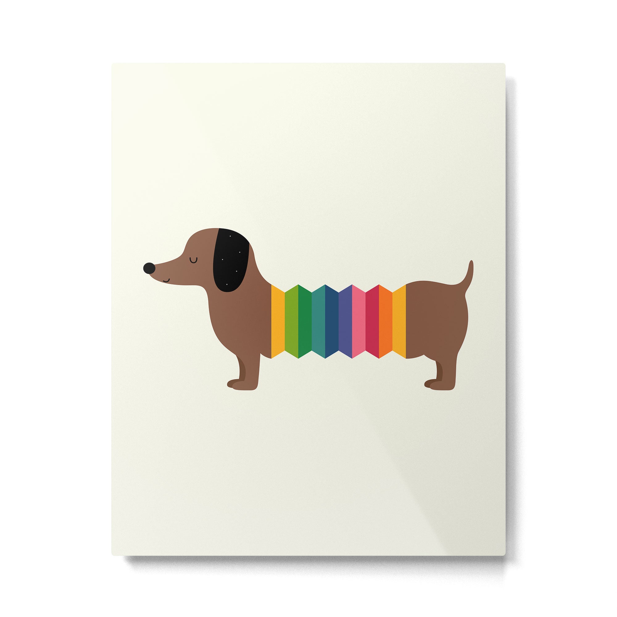 Rainbow Dooooog Metal Print Gallery Image 4