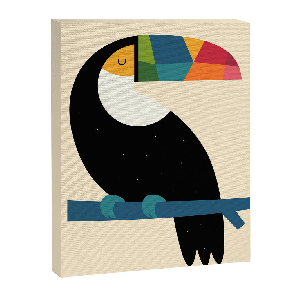 Rainbow Toucan Canvas Print Gallery Image 6
