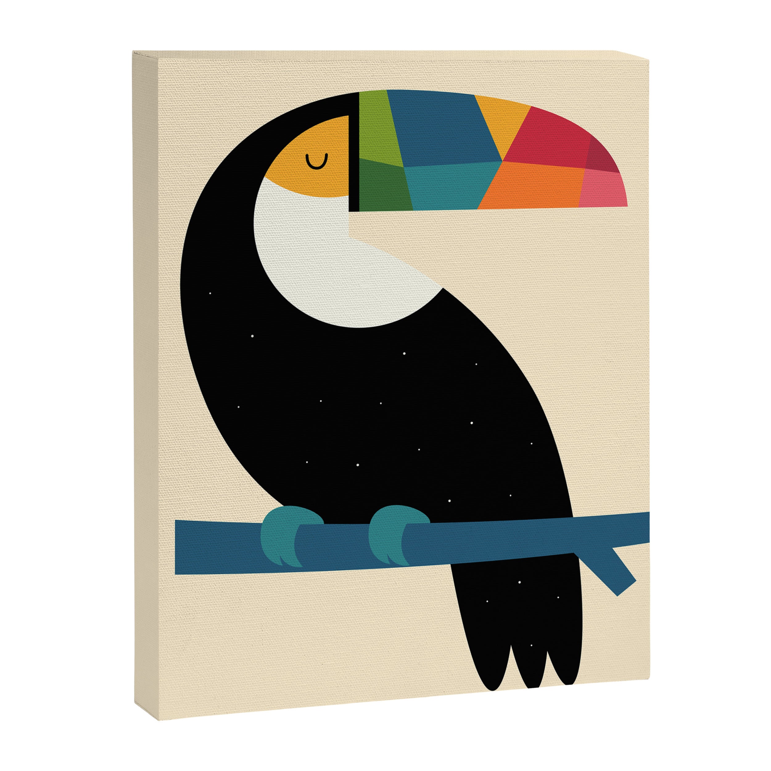 Rainbow Toucan Canvas Print Gallery Image 6