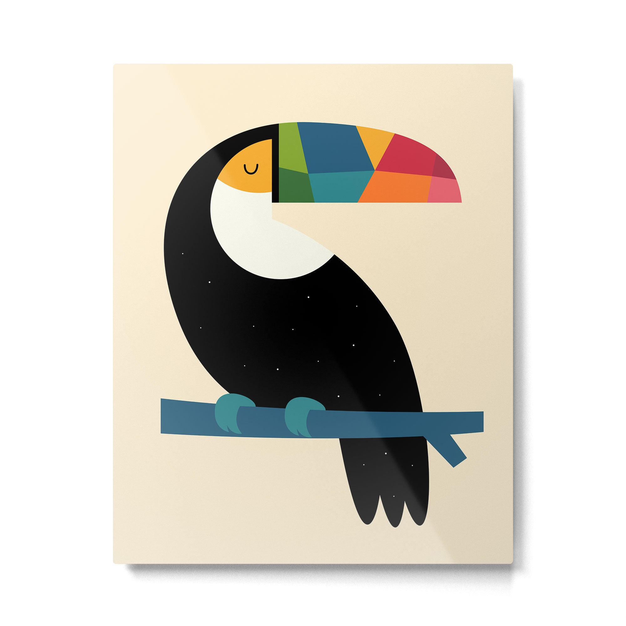 Rainbow Toucan Metal Print Gallery Image 4