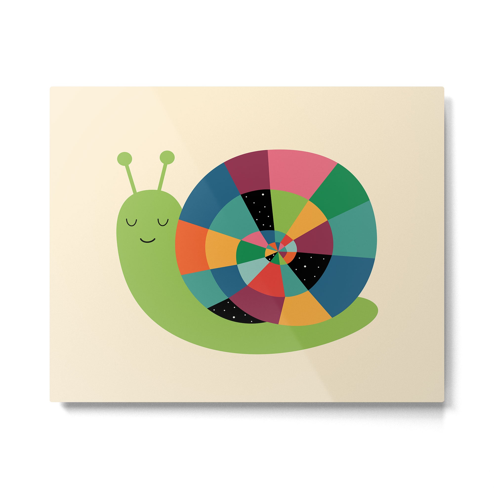 Snail Time Metal Print Gallery Image 6