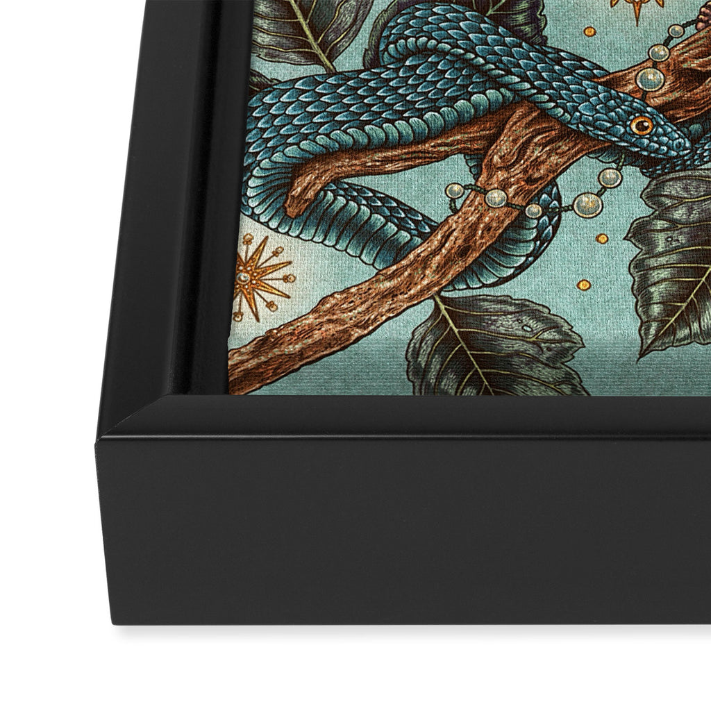 Adornments Framed Canvas Print Gallery Image 3