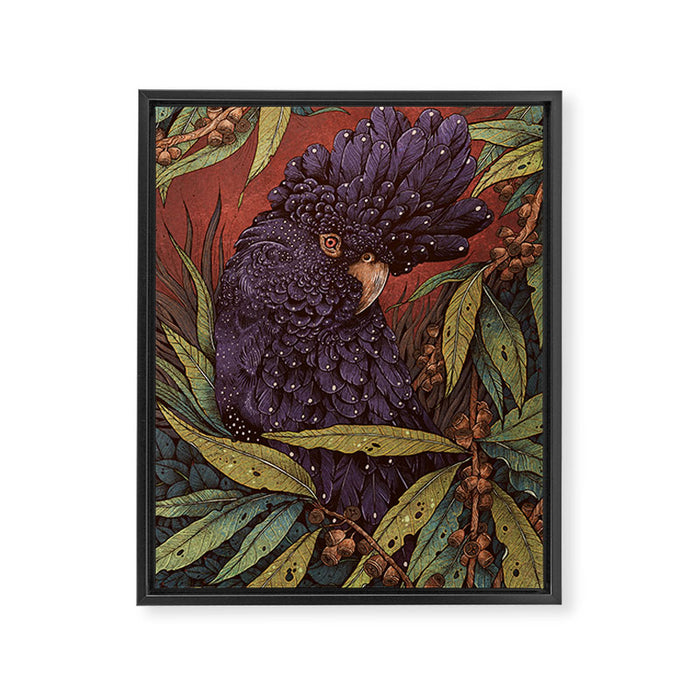 Black Cockatoo Framed Canvas Print Gallery Image 1