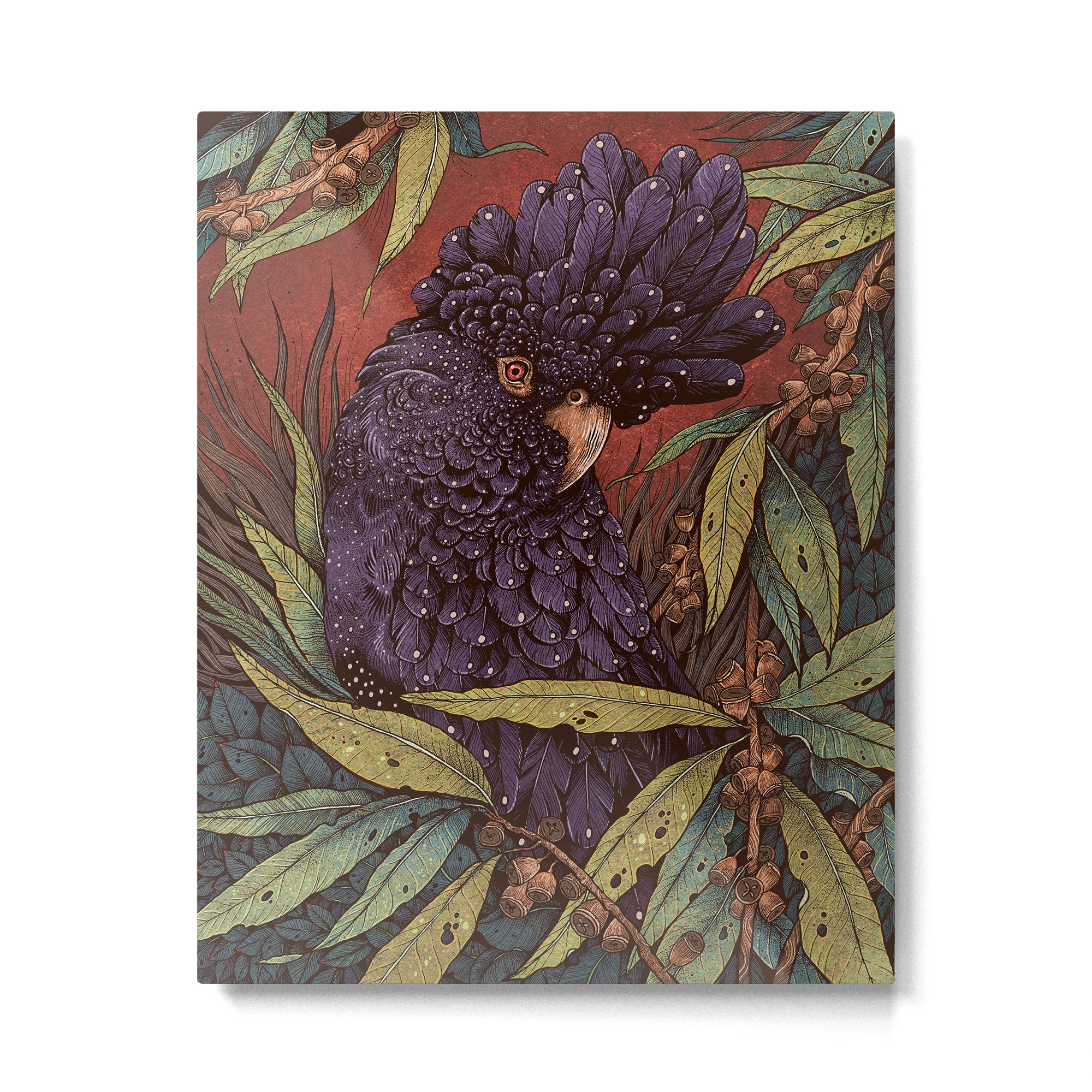 Black Cockatoo Metal Print Gallery Image 4