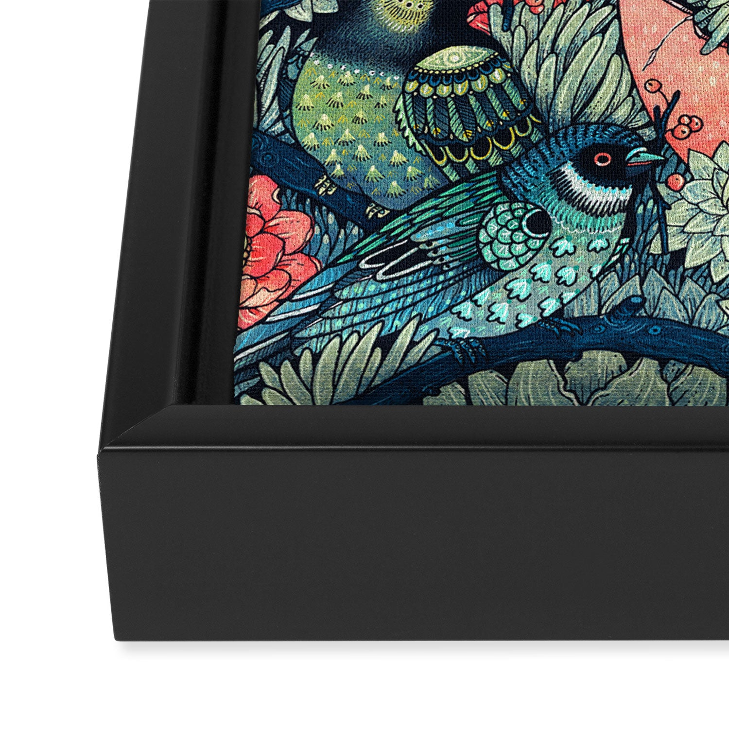 Cosmic Egg Framed Canvas Print Gallery Image 3