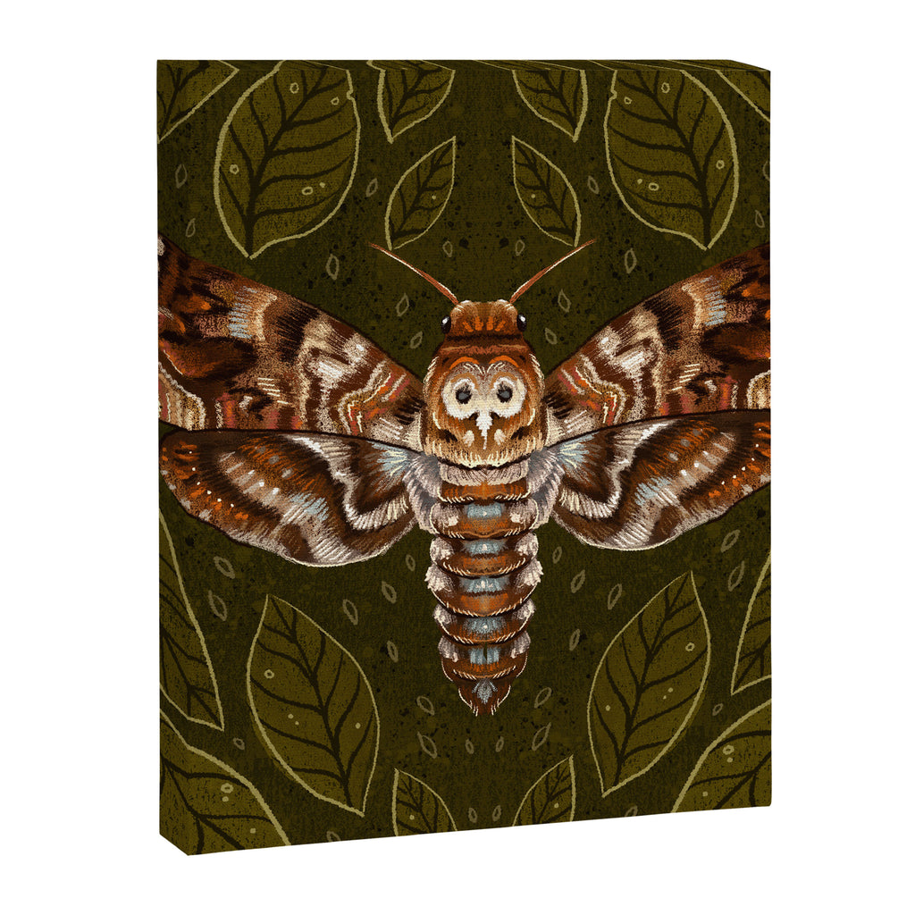 Deaths-Head Moth Canvas Print Gallery Image 8