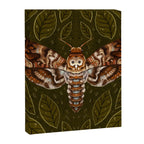 Deaths-Head Moth Canvas Print Gallery Image 8