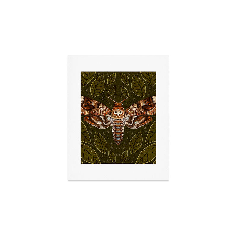 Deaths-Head Moth Art Print Gallery Image 1
