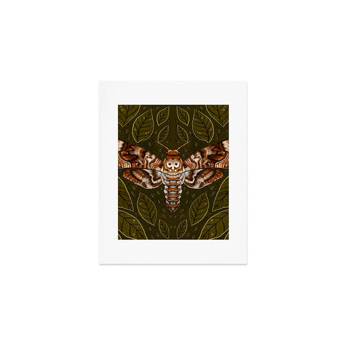 Deaths-Head Moth Art Print Gallery Image 1