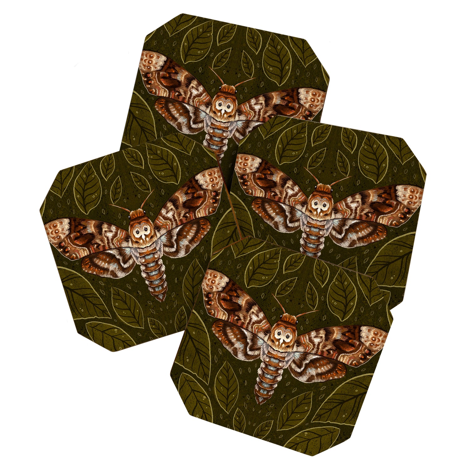 Deaths-Head Moth Coaster Gallery Image 1