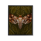 Deaths-Head Moth Framed Canvas Print Gallery Image 8