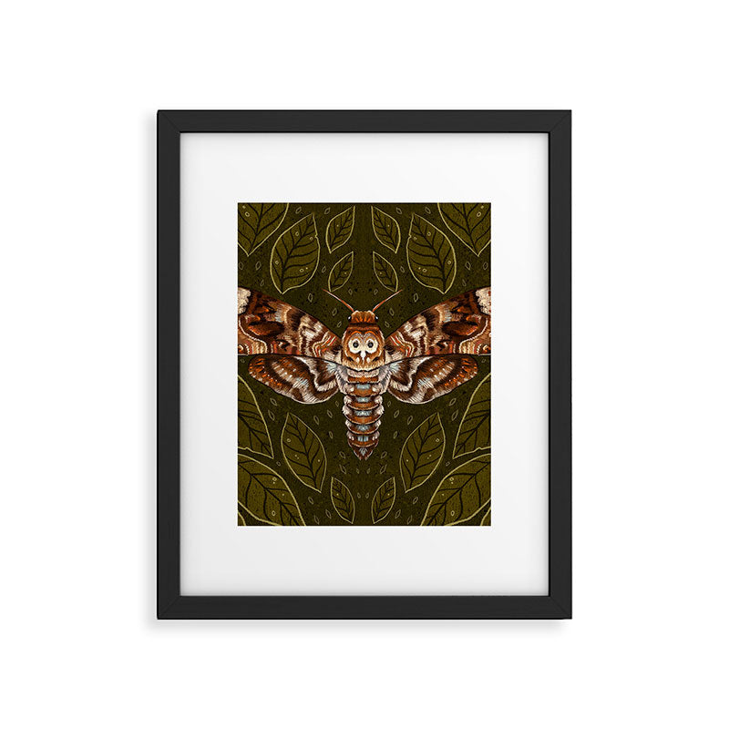 Deaths-Head Moth Framed Art Print Gallery Image 6