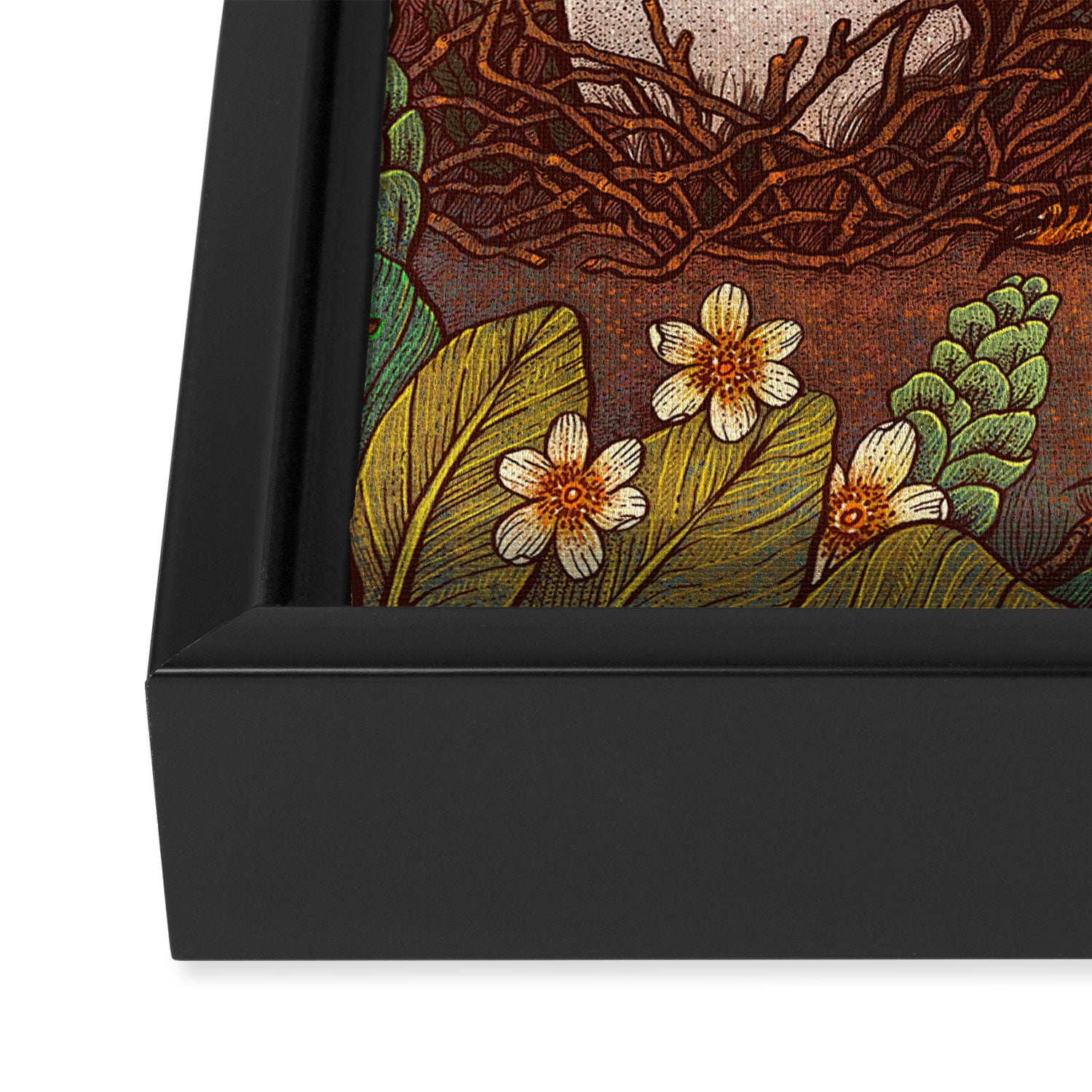 Dodo Framed Canvas Print Gallery Image 3