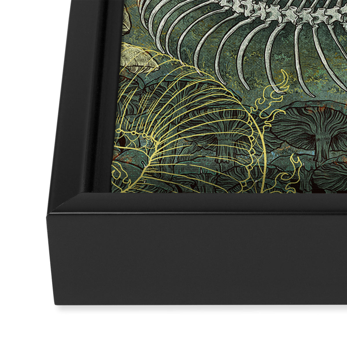 Green Bone Framed Canvas Print Gallery Image 3
