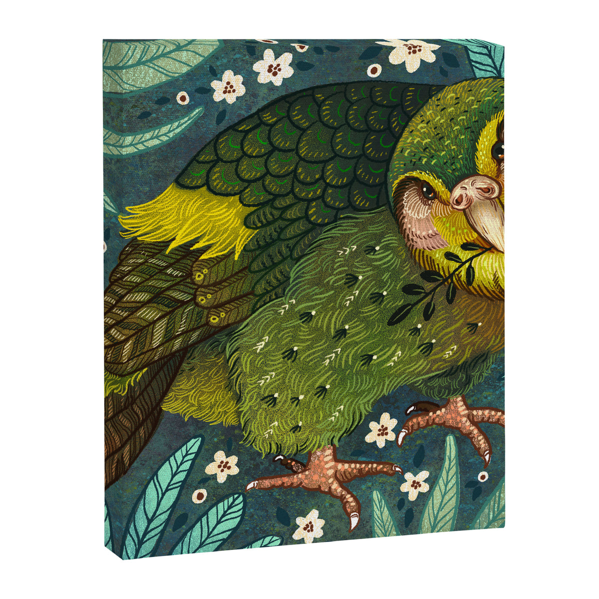 Kakapo Canvas Print Gallery Image 8