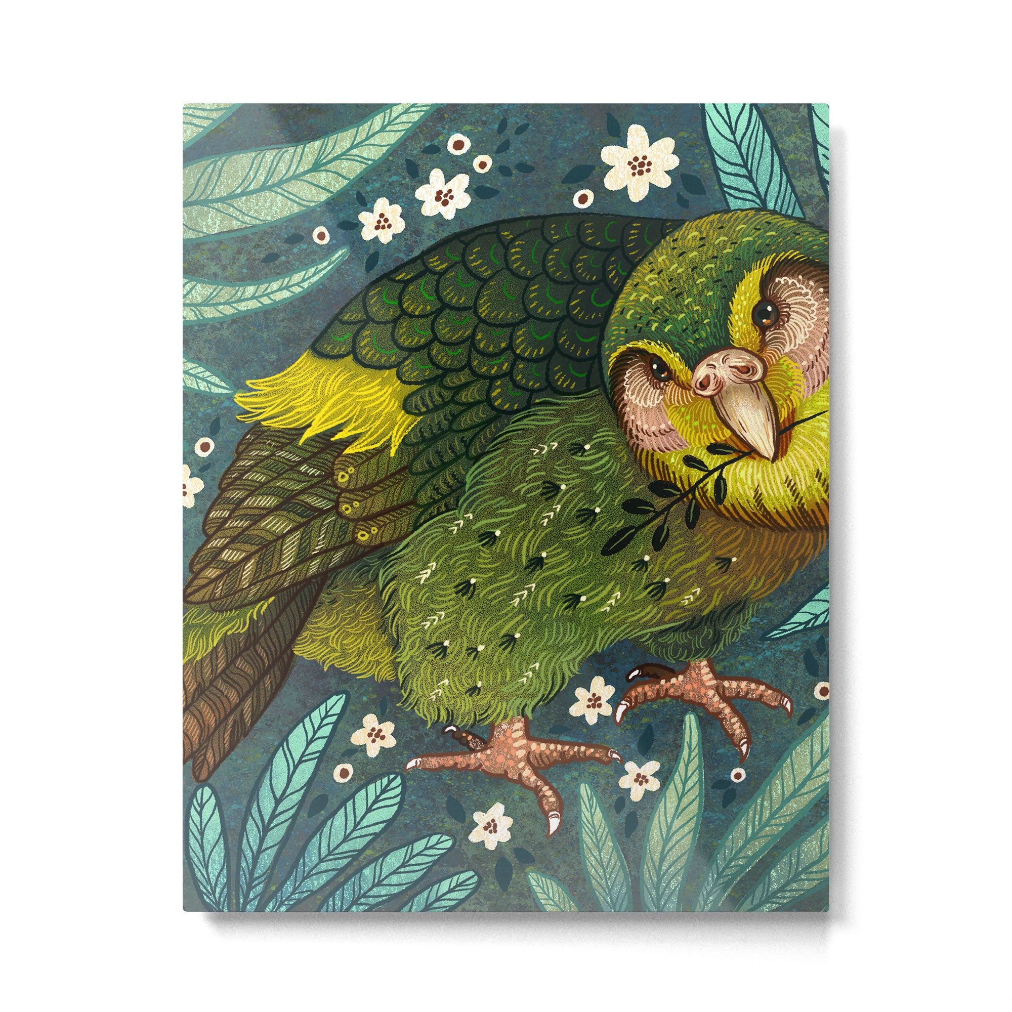 Kakapo Metal Print Gallery Image 6