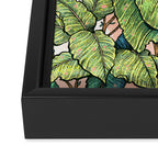 Leaf Mimic Framed Canvas Print Gallery Image 3