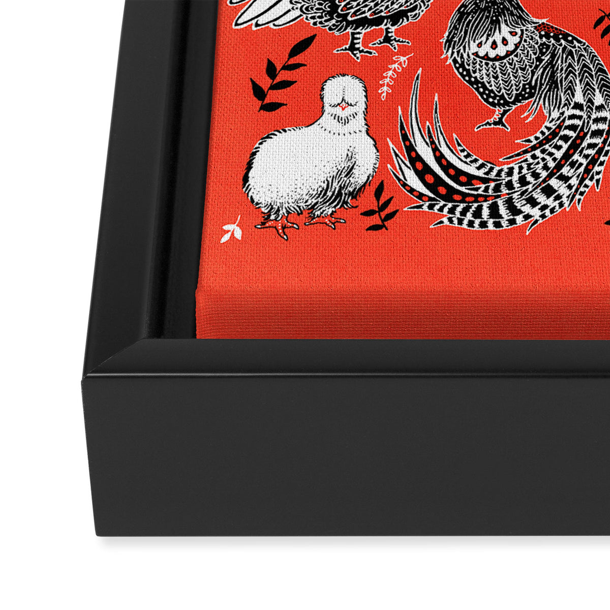 Lil Cluckers Framed Canvas Print Gallery Image 3