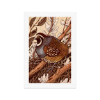 Little Quail Art Print Gallery Image 1