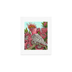 Major Mitchells Cockatoo Art Print Gallery Image 1