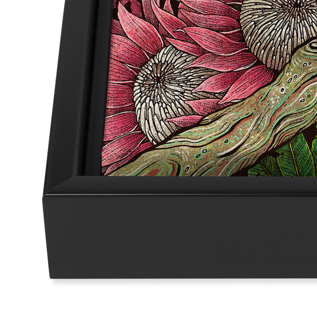 Major Mitchells Cockatoo Framed Canvas Print Gallery Image 3