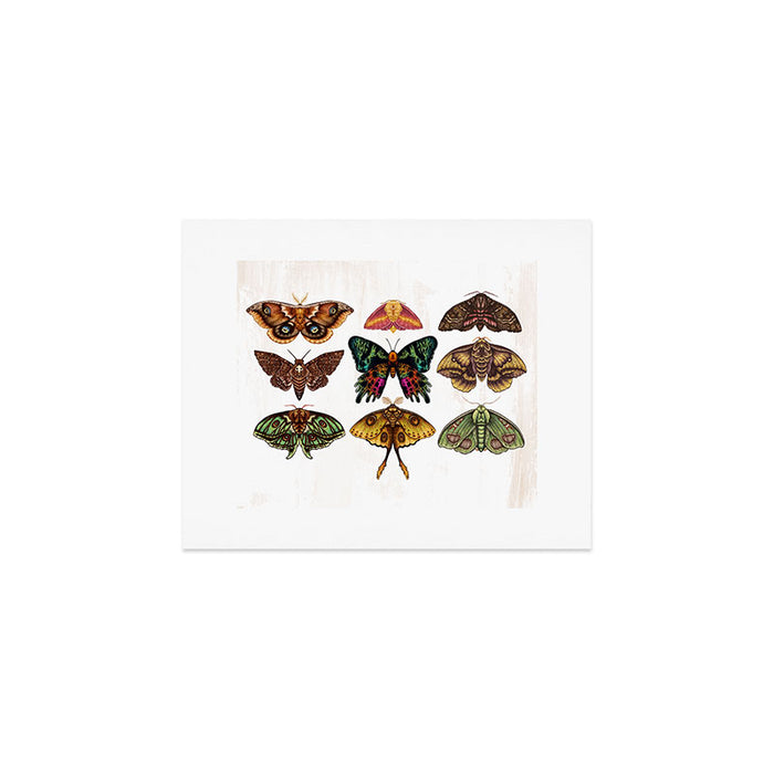 Moth Wings III Art Print Gallery Image 1