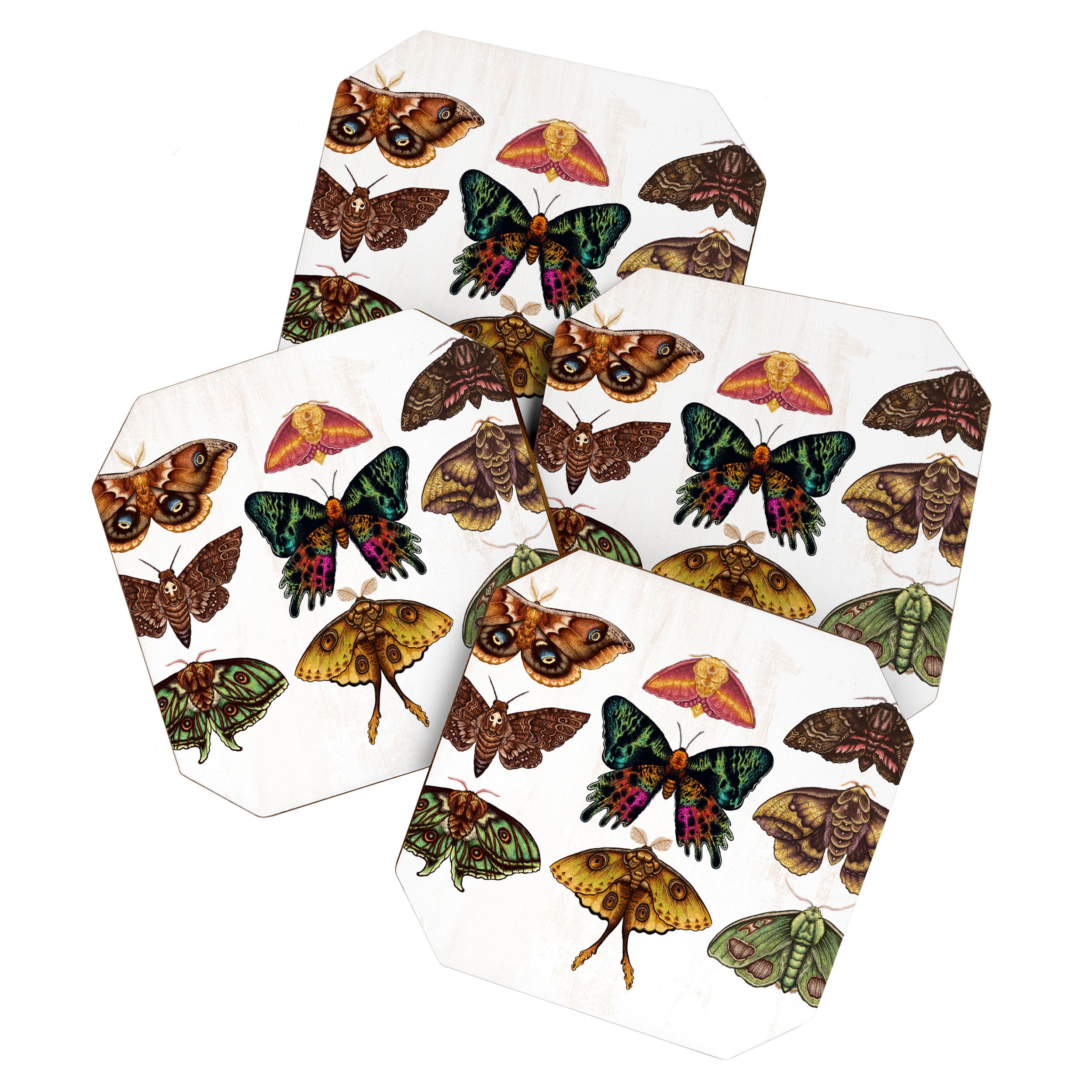 Moth Wings III Coaster Gallery Image 1