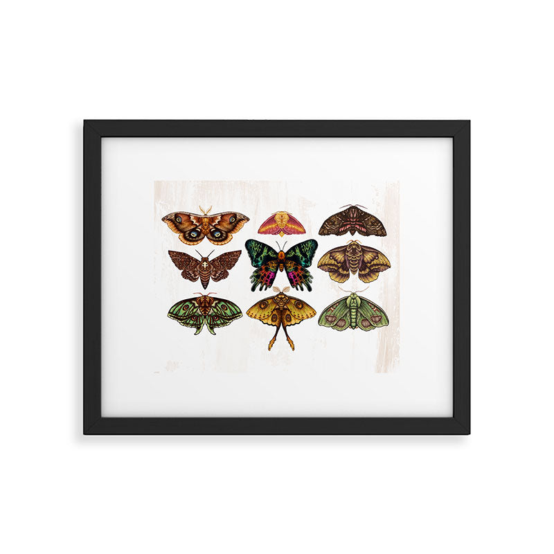 Moth Wings III Framed Art Print Gallery Image 5
