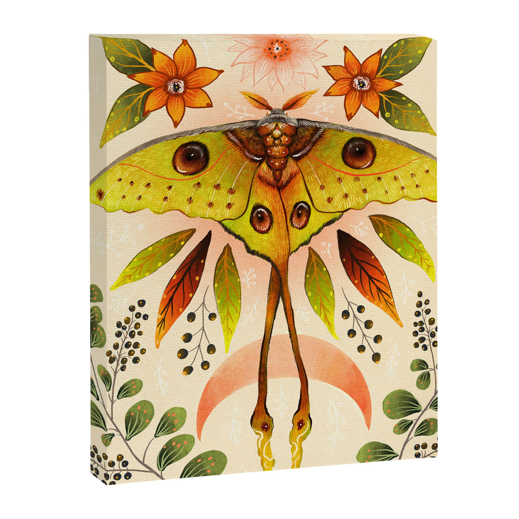 Moth Wings IV Canvas Print Gallery Image 8