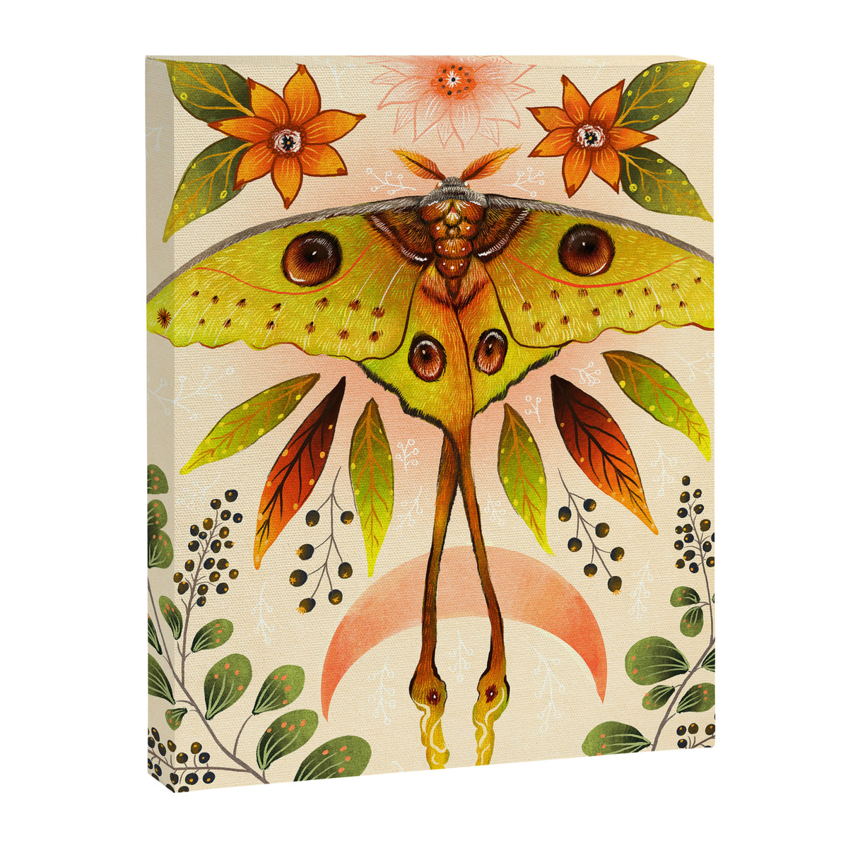 Moth Wings IV Canvas Print Gallery Image 8