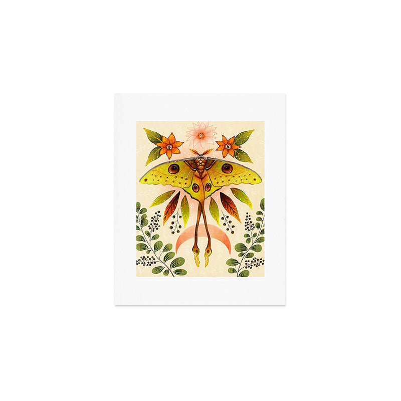 Moth Wings IV Art Print Gallery Image 1