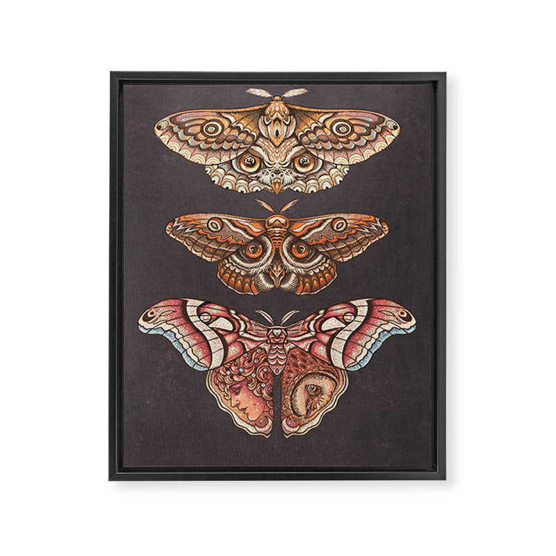 Moth Wings IV Framed Canvas Print Gallery Image 6