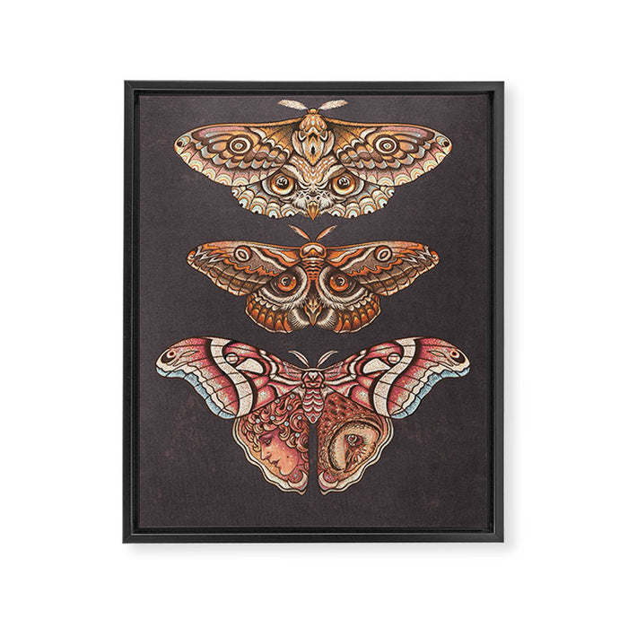Moth Wings IV Framed Canvas Print Gallery Image 1