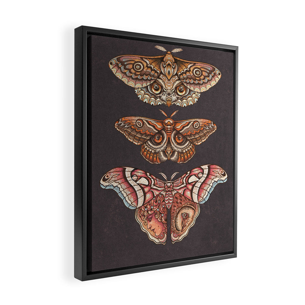Moth Wings IV Framed Canvas Print Gallery Image 2