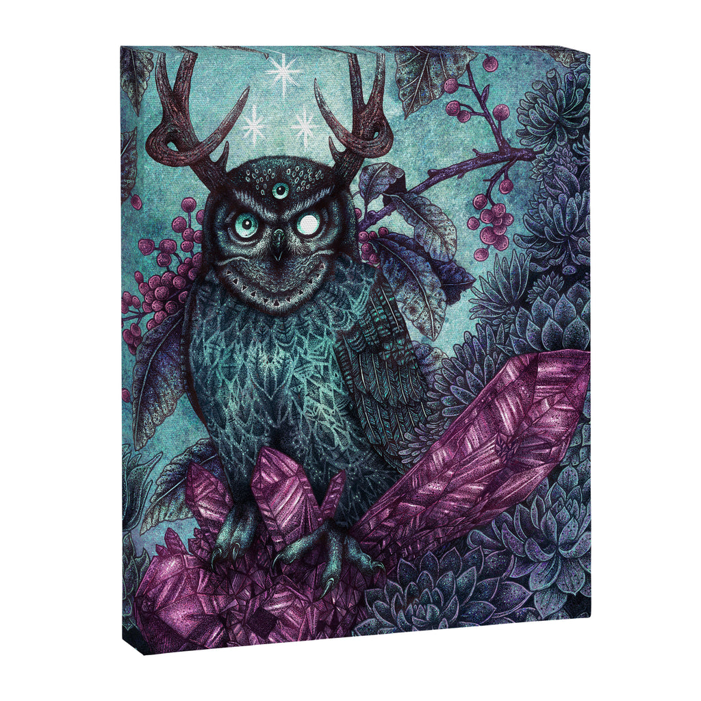 Night Owl Canvas Print Gallery Image 6