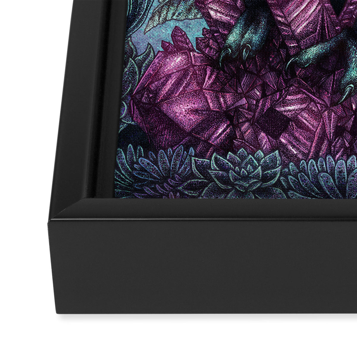 Night Owl Framed Canvas Print Gallery Image 3