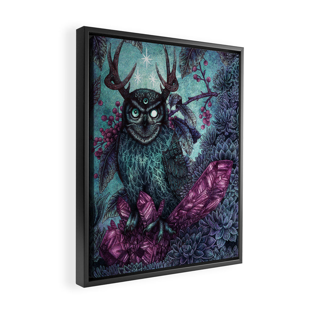 Night Owl Framed Canvas Print Gallery Image 2