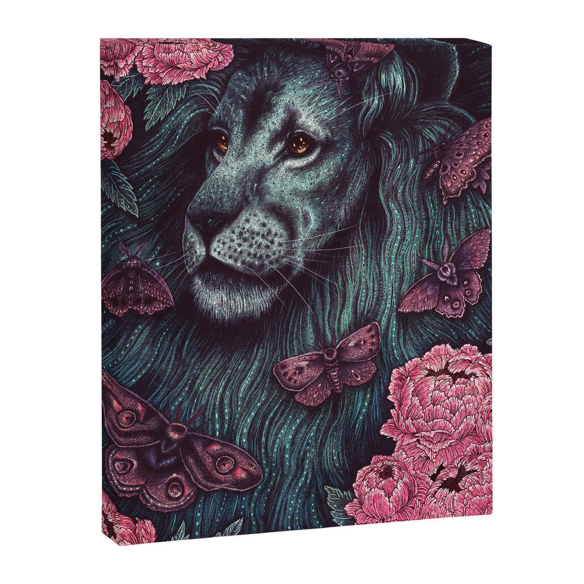 Nocturnal Canvas Print Gallery Image 6